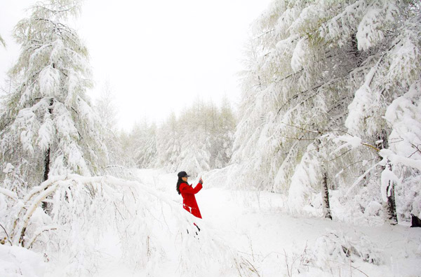 1539934956979527.jpg timg.jpg